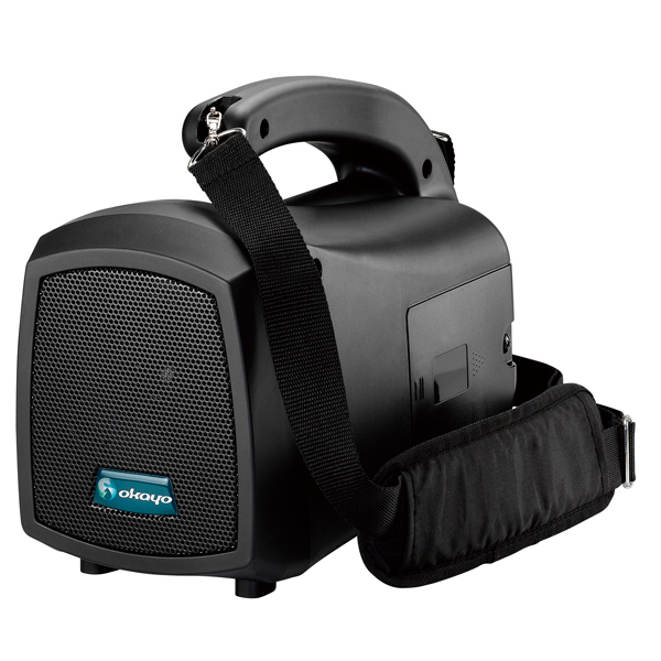 Wireless Personal Sound System