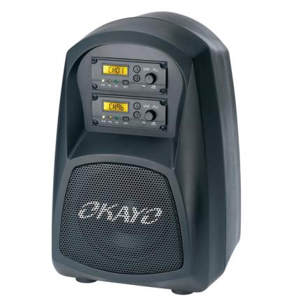 60W Wireless Personal Sound System