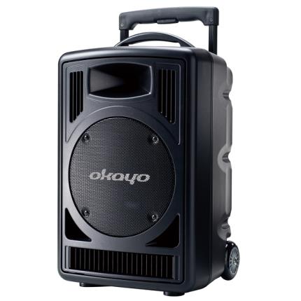 Digital UHF 120W Sound System