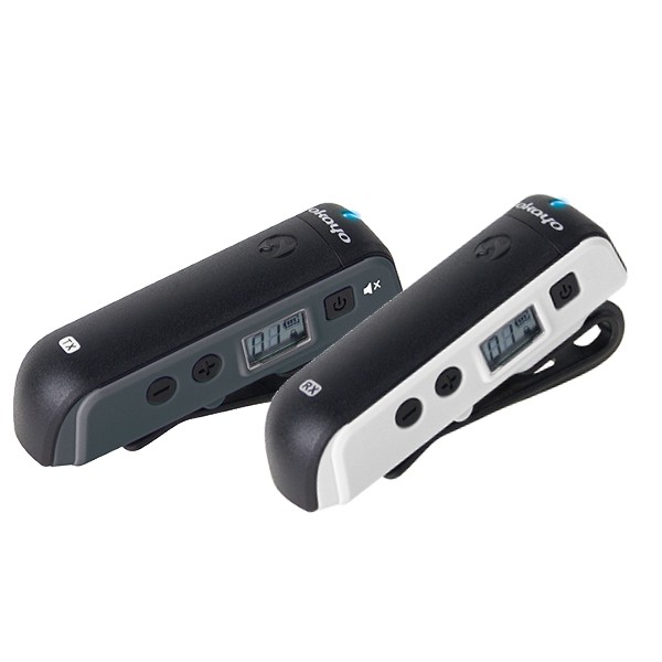 miniGuide VIP Tour System