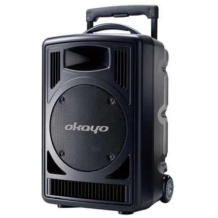 Wireless 150W Sound System