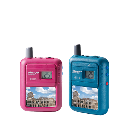Digital Group Guiding System, Digital 300