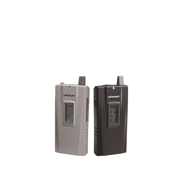 WT-500 International Travel Tour System