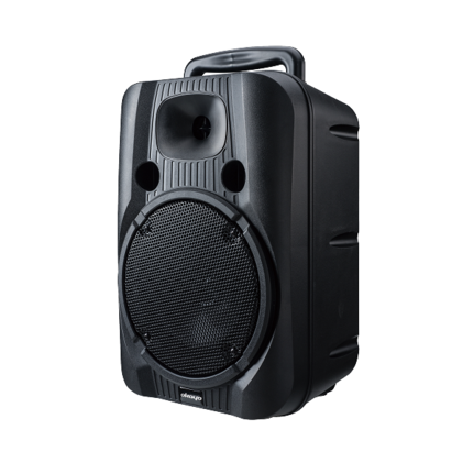 2&quot; &#x2B; 8&quot; full range speaker for optimal output volume
